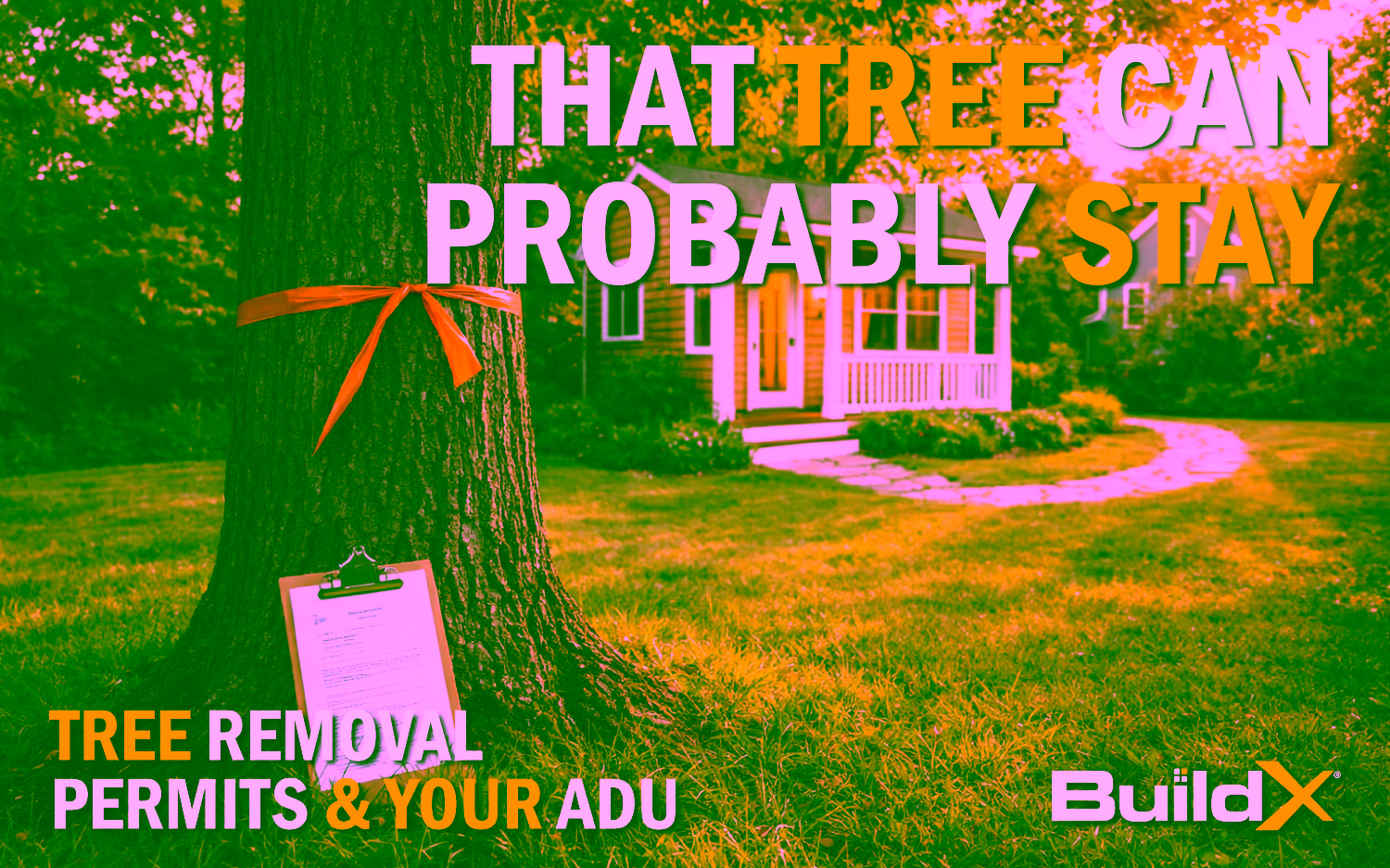 Do You Need a Tree Removal Permit for Your Massachusetts ADU?