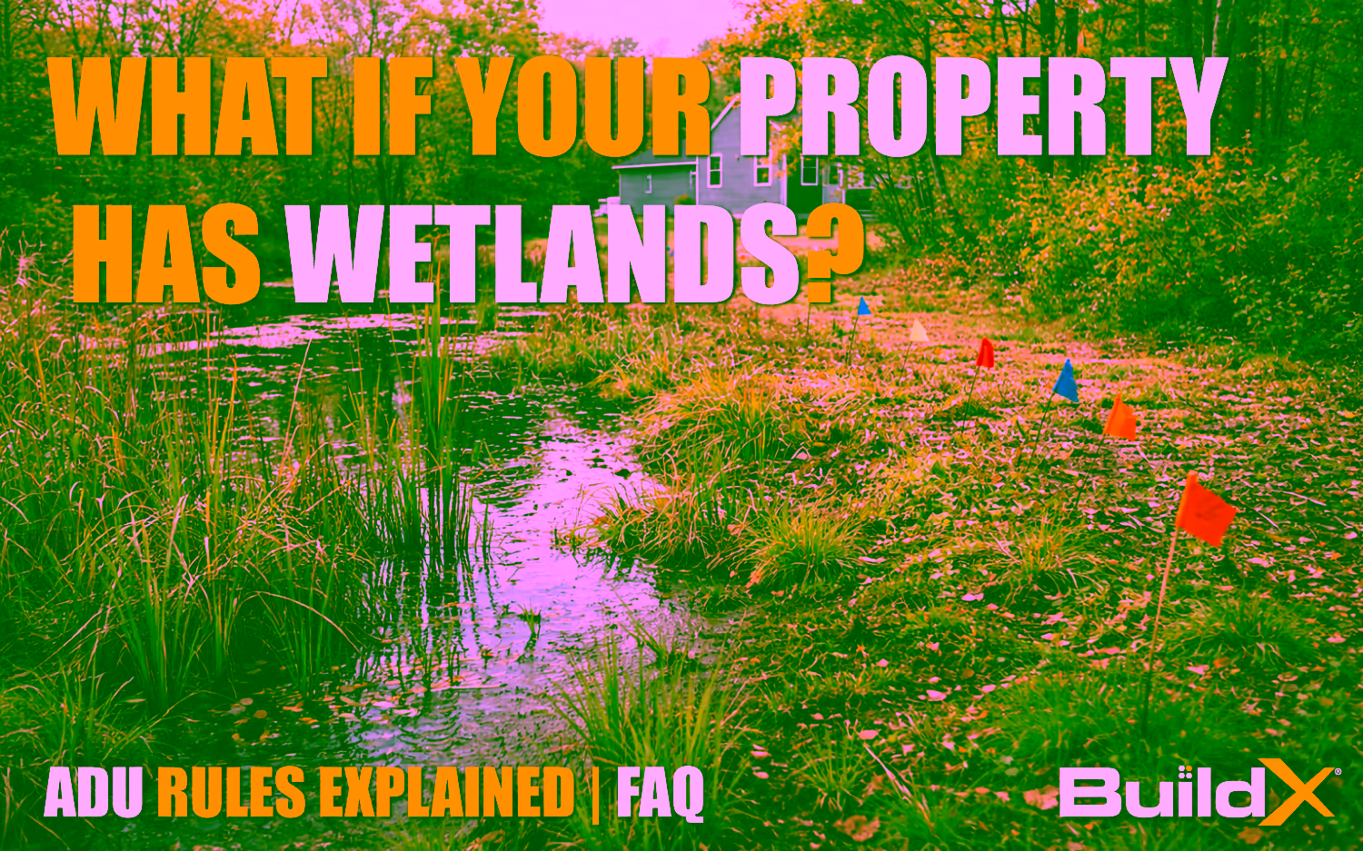 What If Your Property Has Wetlands? ADU Rules Explained